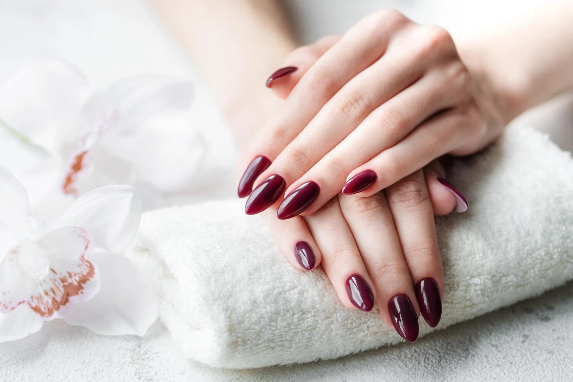 hands young woman with dark red manicure nails